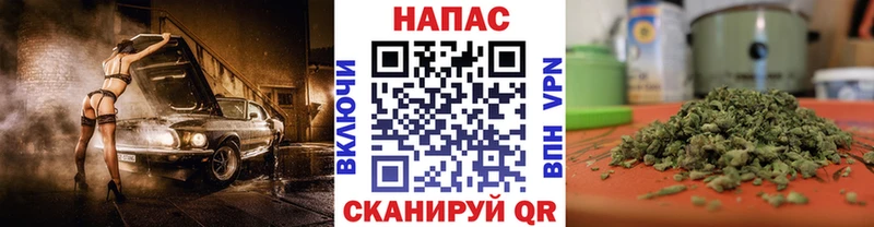 Шишки марихуана конопля  Щёлкино 